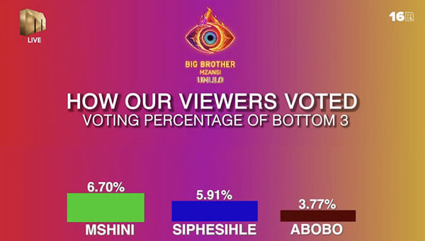 Big Brother Mzansi Season 5 Week 9 voting results in 2025